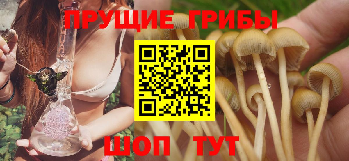 Галлюциногенные грибы MAGIC MUSHROOMS Кимовск