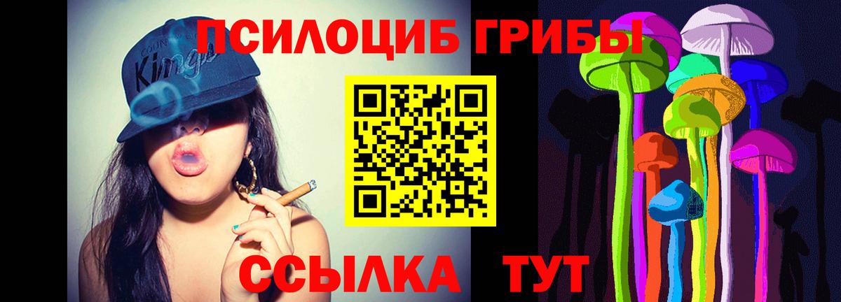 Кимовск  Галлюциногенные грибы Magic Shrooms  Вход с VPN 